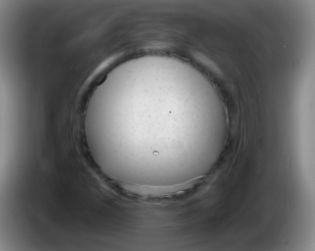 X0000083991208200703091838