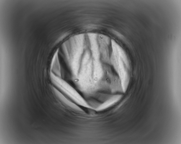 X0000083991209200703091838