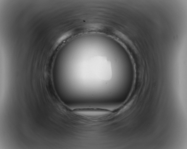 X0000083991210200703091838