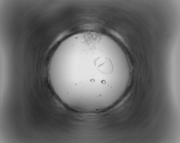 X0000083991211200703091838