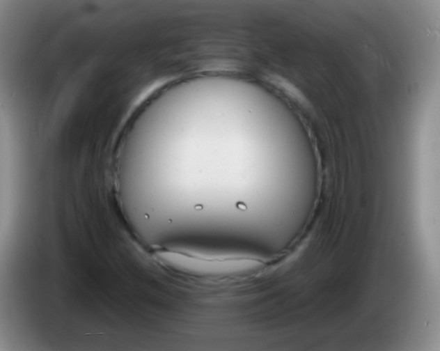 X0000083991212200703091838