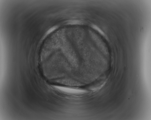 X0000083991213200703091838