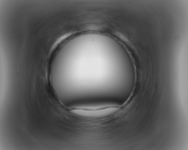 X0000083991214200703091838