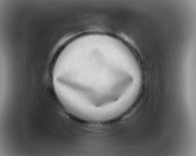 X0000083991215200703091838