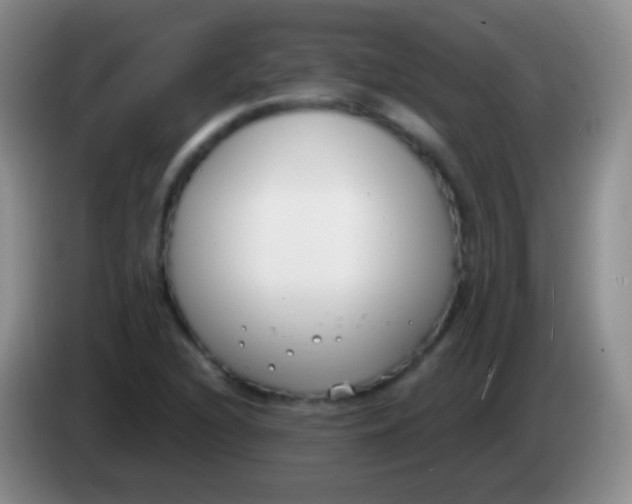 X0000083991216200703091838