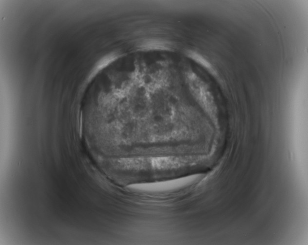 X0000083991219200703091838