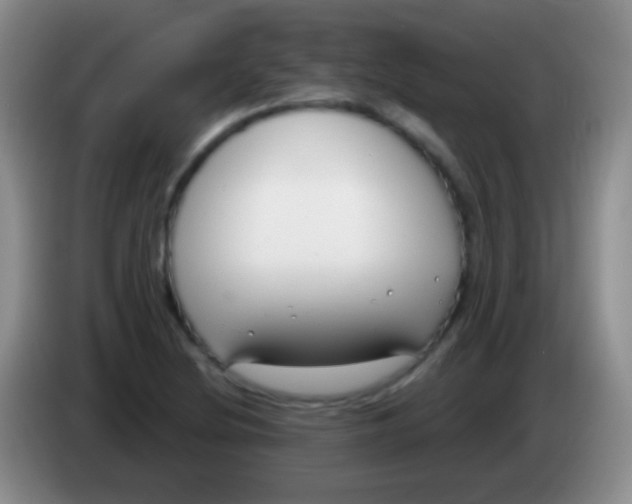 X0000083991220200703091838