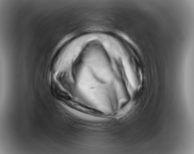 X0000083991221200703091838