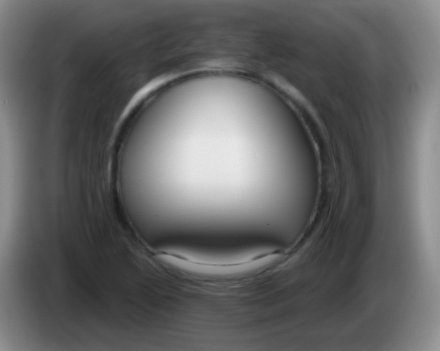 X0000083991222200703091838