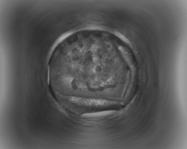 X0000083991223200703091838