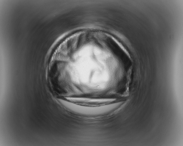 X0000083991224200703091838