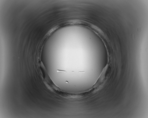 X0000083991225200703091838