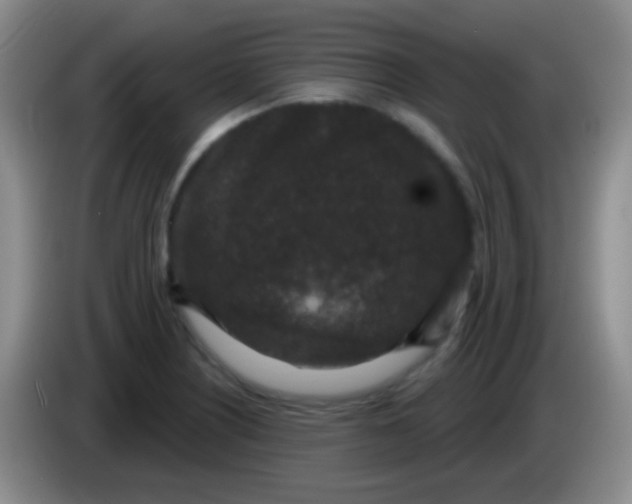 X0000083991226200703091838