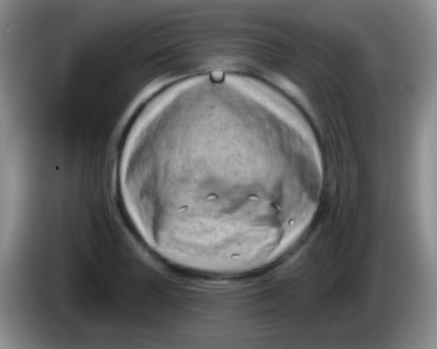 X0000083991227200703091838