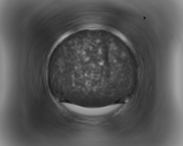 X0000083991229200703091838