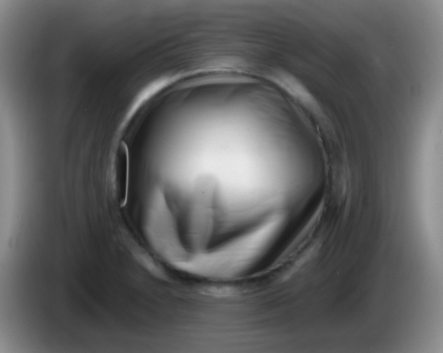 X0000083991230200703091838