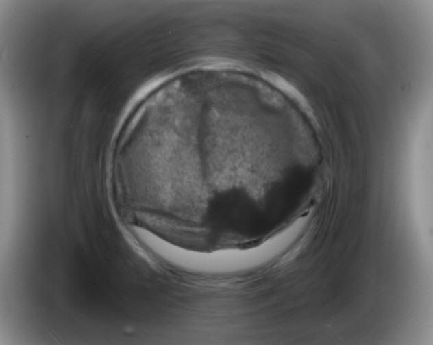 X0000083991231200703091838