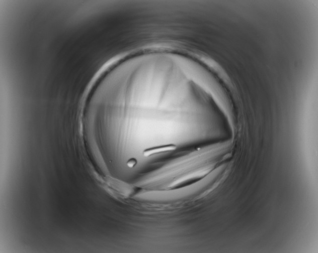 X0000083991232200703091838