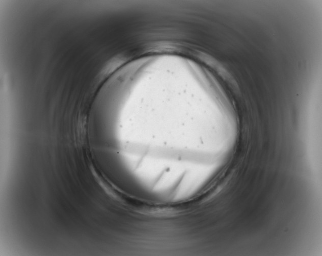 X0000083991233200703091838