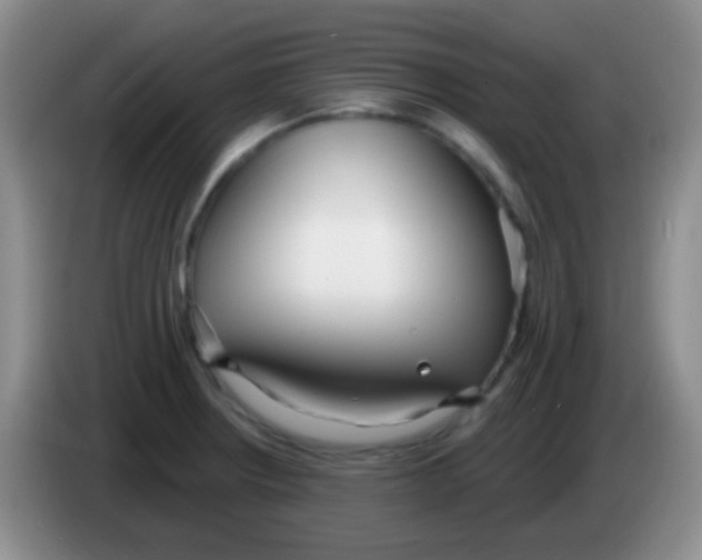 X0000083991234200703091838