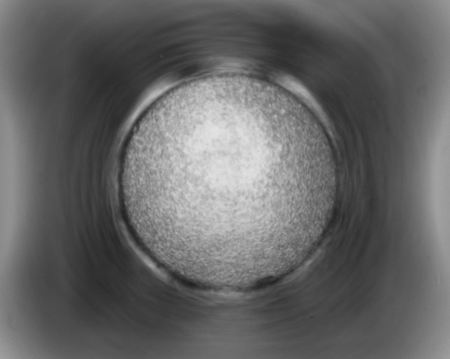 X0000083991235200703091838