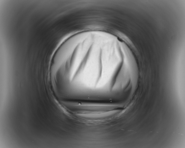 X0000083991236200703091838