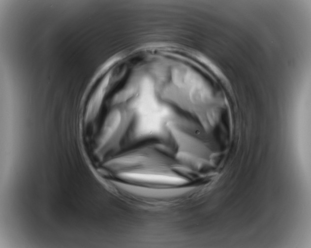 X0000083991237200703091838