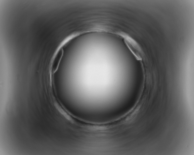 X0000083991238200703091838