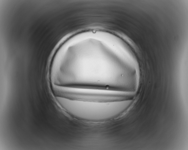 X0000083991240200703091838