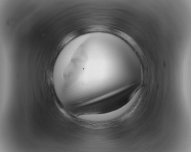 X0000083991241200703091838