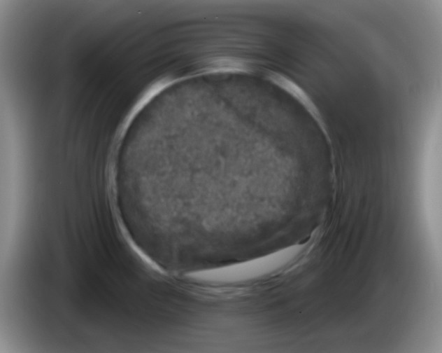 X0000083991243200703091838