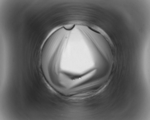 X0000083991244200703091838