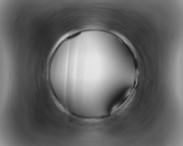 X0000083991246200703091838