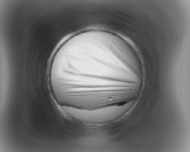 X0000083991248200703091838