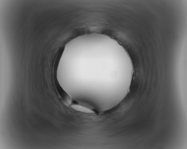 X0000083991249200703091838