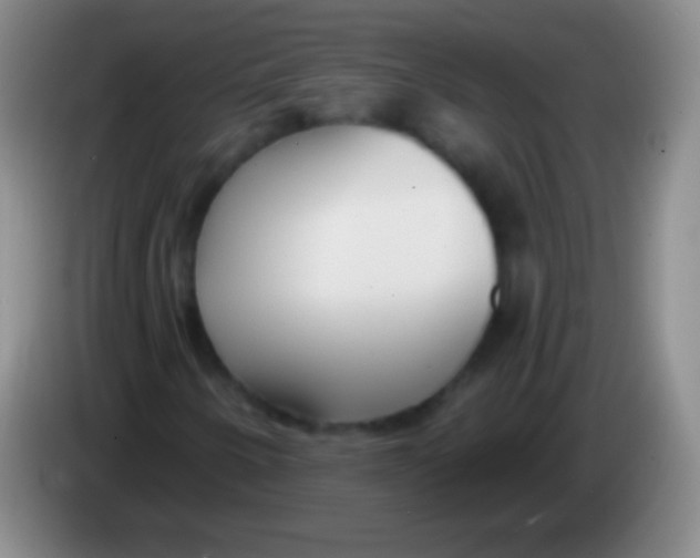 X0000083991250200703091838