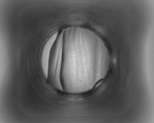 X0000083991252200703091838