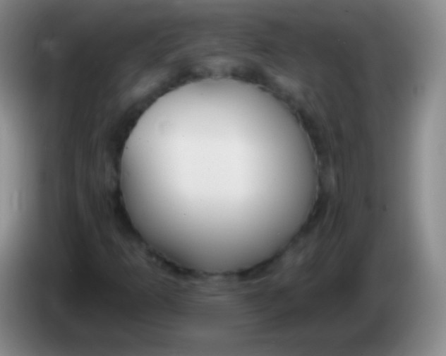 X0000083991253200703091838