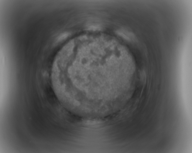 X0000083991254200703091838