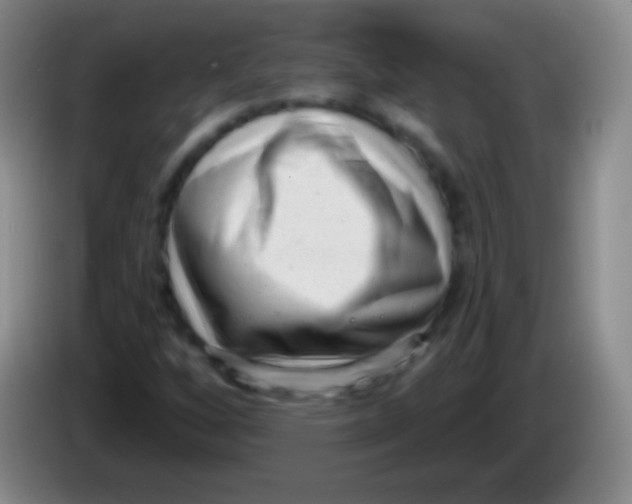 X0000083991256200703091838