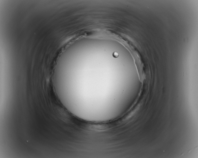 X0000083991257200703091838