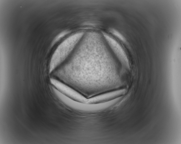 X0000083991259200703091838