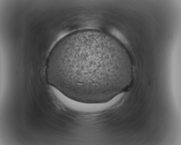 X0000083991260200703091838