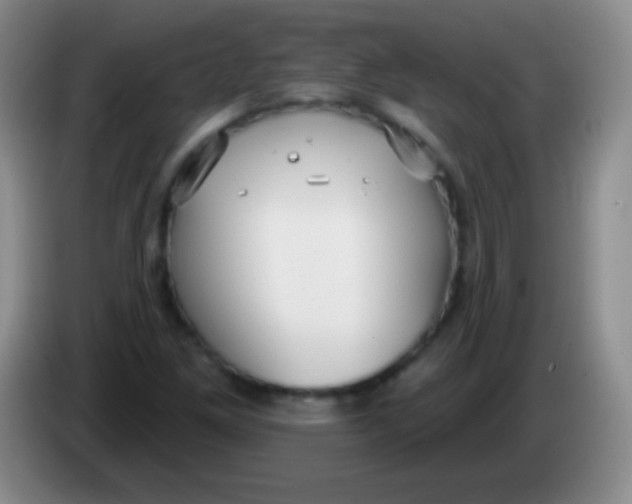 X0000083991261200703091838