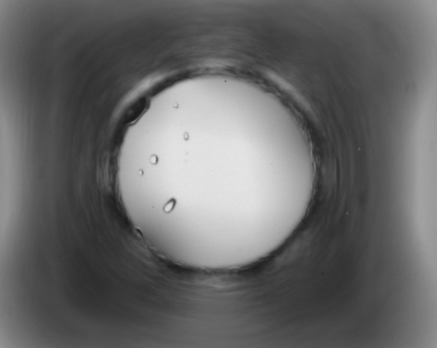 X0000083991262200703091838