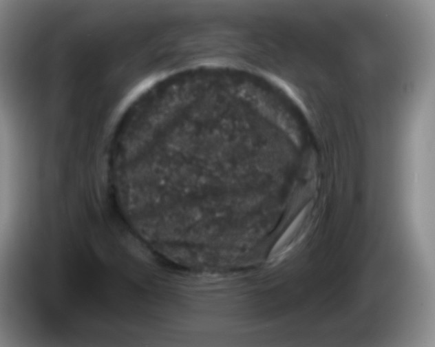 X0000083991263200703091838