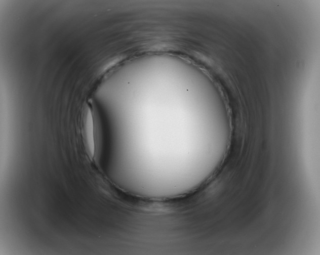 X0000083991265200703091838