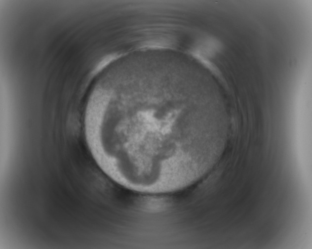 X0000083991266200703091837