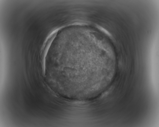 X0000083991267200703091837