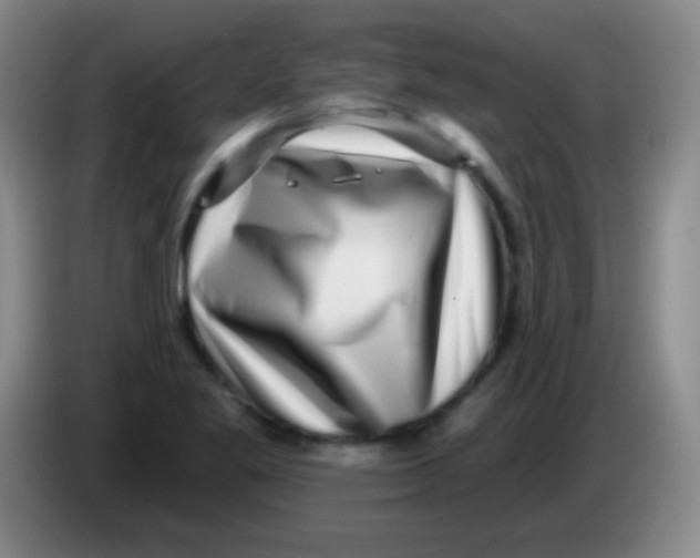 X0000083991269200703091837